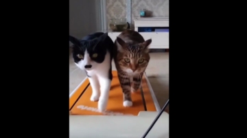 Topganhotty  04-11-2021 video all naked